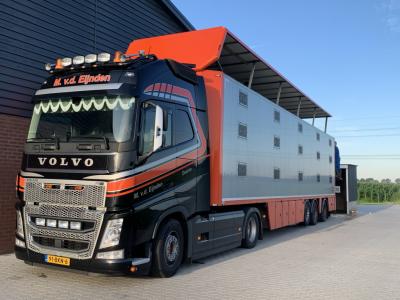 Handel in varkens, biggen en zeugen